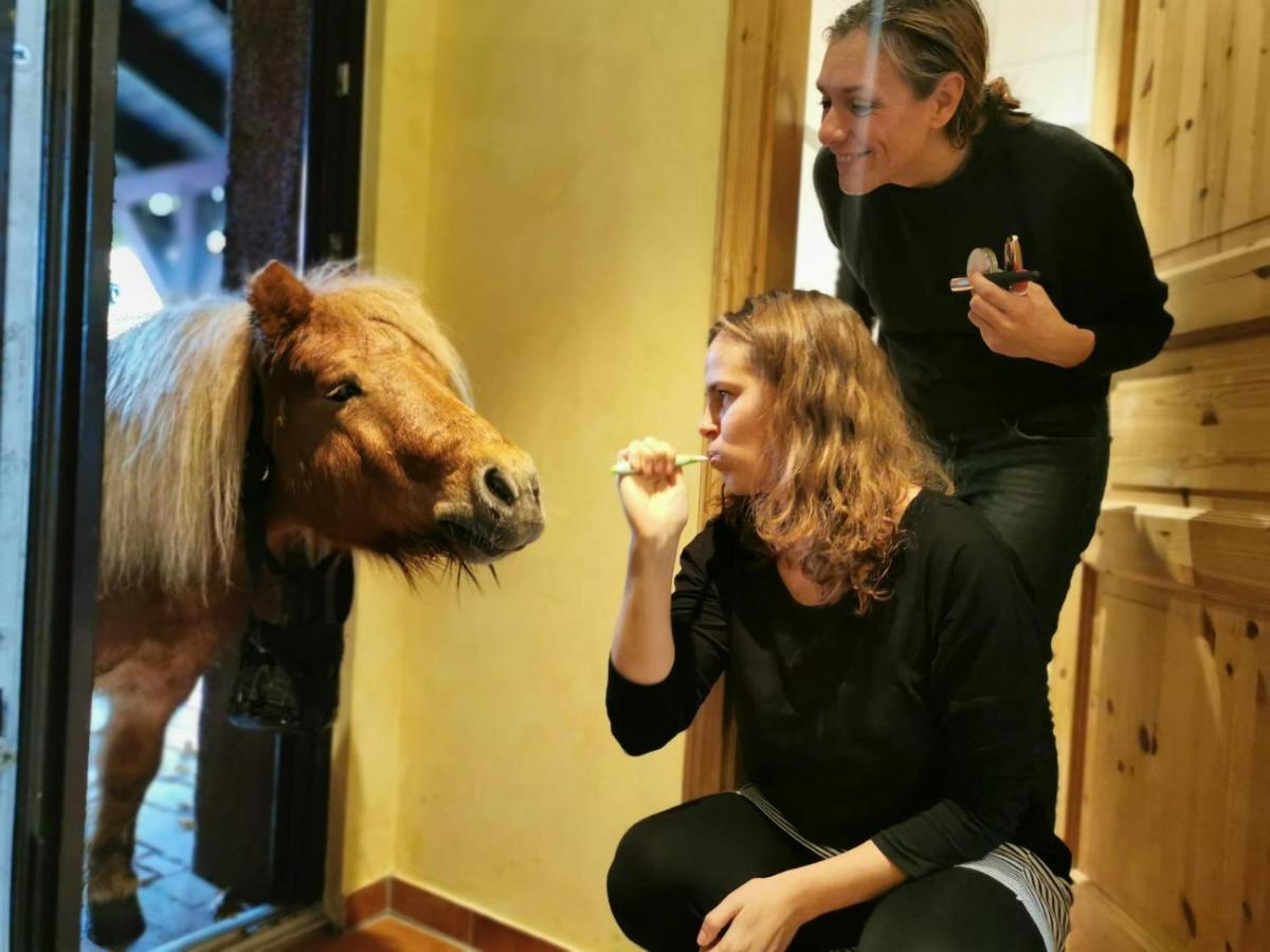 Ferienwohnung Kunz ブルク エクステリア 写真